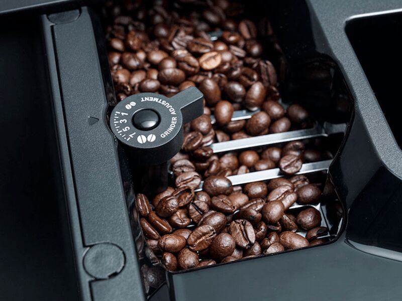 Какой сорт кофе считается самым лучшим?